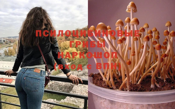 герыч Баксан