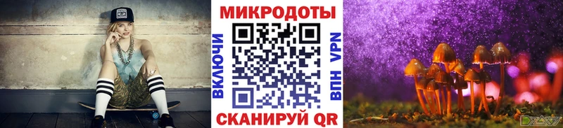 Псилоцибиновые грибы Psilocybine cubensis Коммунар