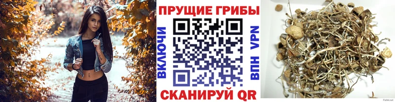 Псилоцибиновые грибы ЛСД  Купить закладки  Коммунар 
